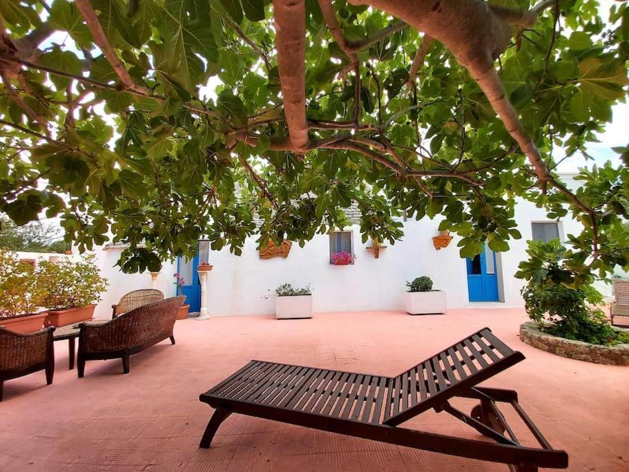 شقة Trulli Pasquina مارتينا فرانكا المظهر الخارجي الصورة